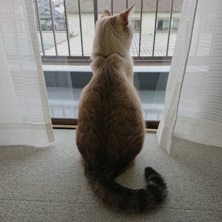 Da11a93e 3e38 4833 b351 f41c6640092e 1520214215959