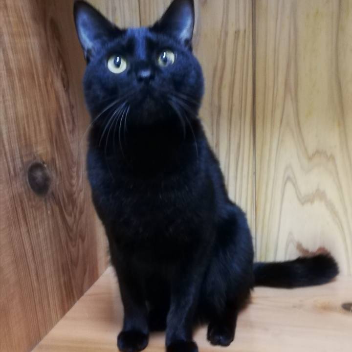 Da11b4ca 7f00 4753 a2c2 0ab183ced2c0 1609054296722