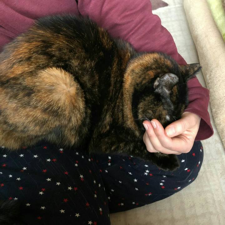 Da11e07f 51ce 4354 a823 9e571e10f7a8 1611285310628