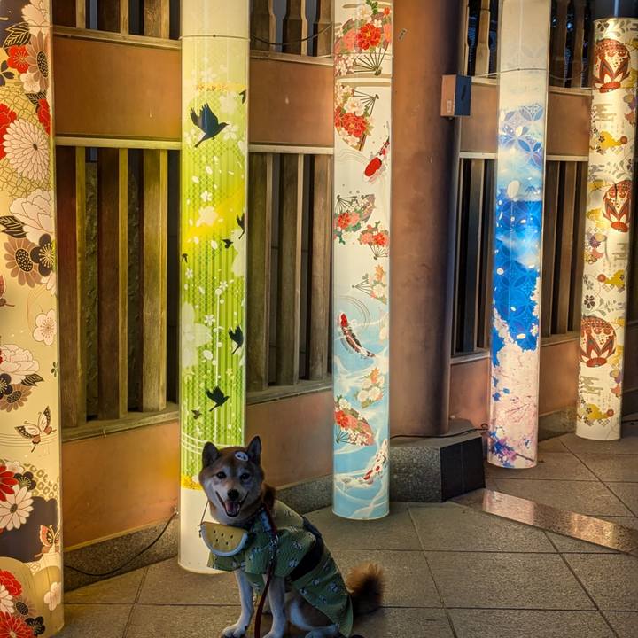 Da122921 af97 4569 9136 bf60b83b94b9 1723068132016