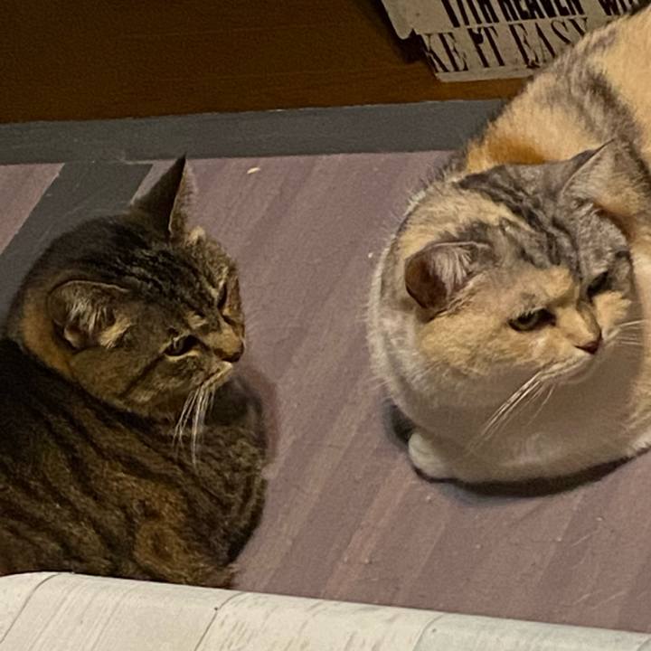 Da124935 3d39 4213 824d 1b9fcc1267d3 1681646549983