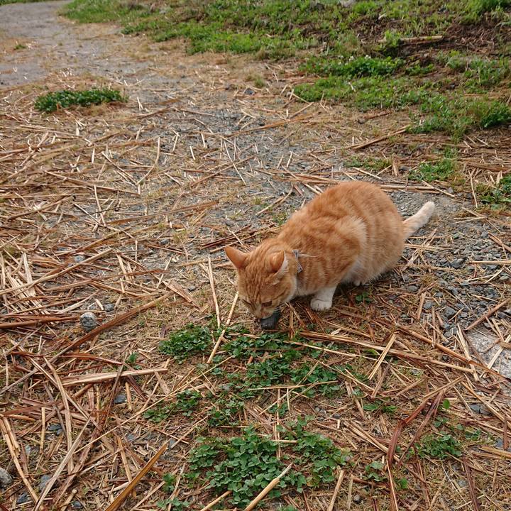 Da1262b0 eb12 4bf2 8b1f 6ebe63e7408f 1593032289854