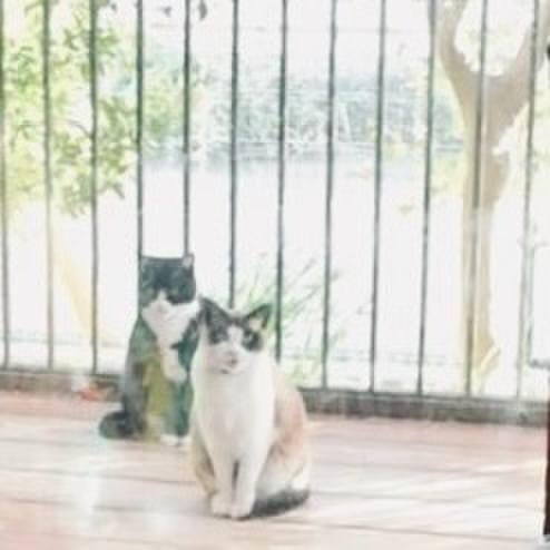 Da126694 0e3e 457b 9757 896dc9c27ec5 1744633347284