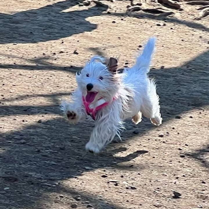 Da1276cd 5590 4acf 9863 dfadacb34893 1742473803340