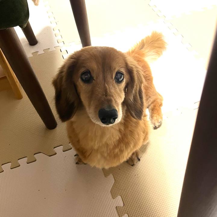 Da127c90 97c7 45d2 a4b6 9dfbc0f100e9 1641390507539