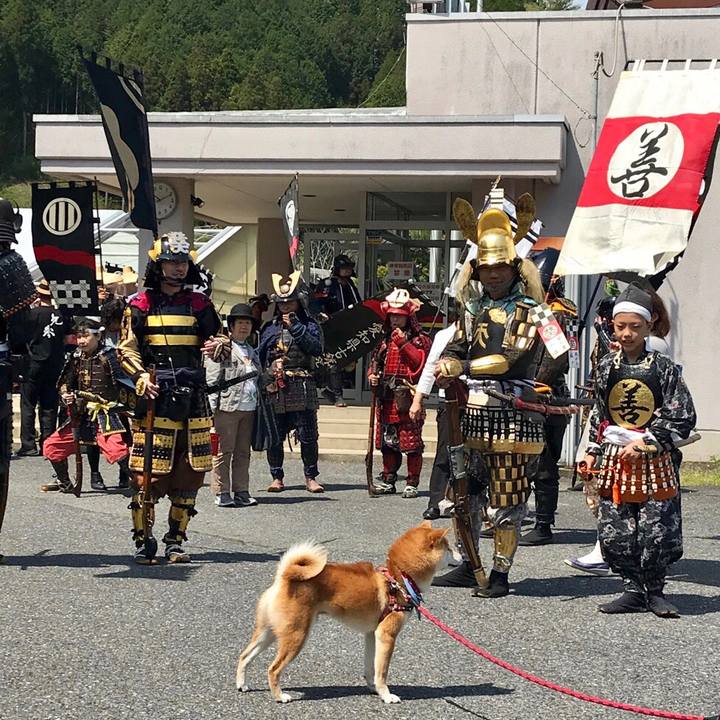 Da12c7a5 13b1 4986 9c1e a4b6d086414e 1556881020183