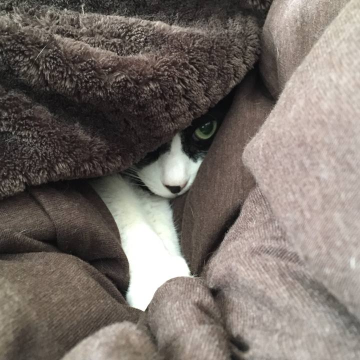 Da12cd3c 3fcf 413c 8dff 05800ce5bc86 1509492393031