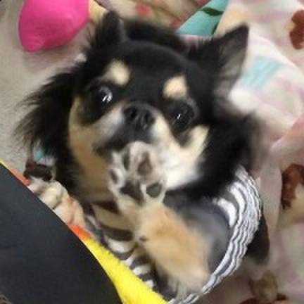 Da12d23d 2e83 4c87 96b2 b5cee4cbc25e 1575530625280