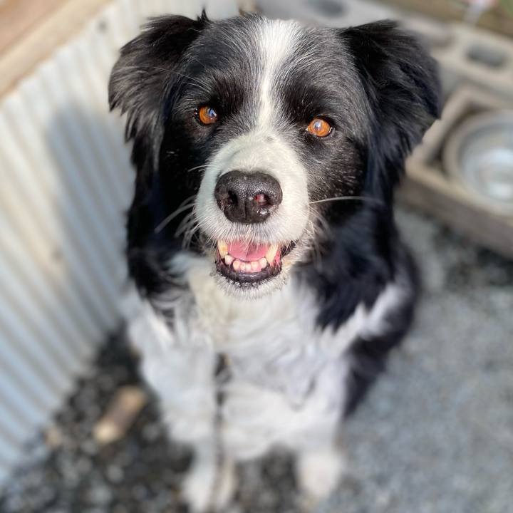 Da12e989 409c 4ad0 8475 92576a75cba6 1617930024285