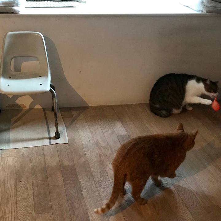 Da12eee4 a25d 4be3 b266 872b0fbe7c83 1511334074104