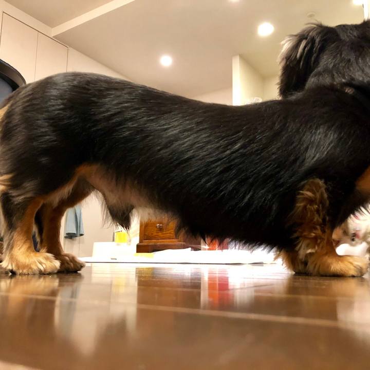 Da12f9cf 9d4e 4a12 affc 6f0e210edfef 1546951216569