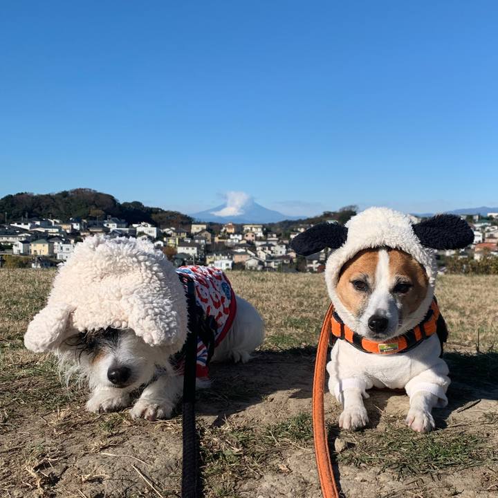 Da12fc1e d5d7 45d6 886e bd237d23ae0f 1608083492149