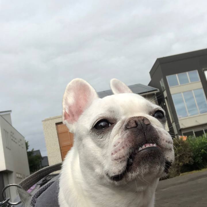 Da13062c fd1a 4f9a 91de 51c078af57a6 1665304072533