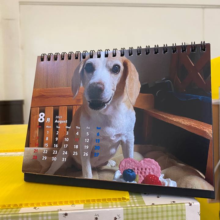 Da1350dd 2fbe 4bc3 abb9 0380b5c02fe8 1659343124522