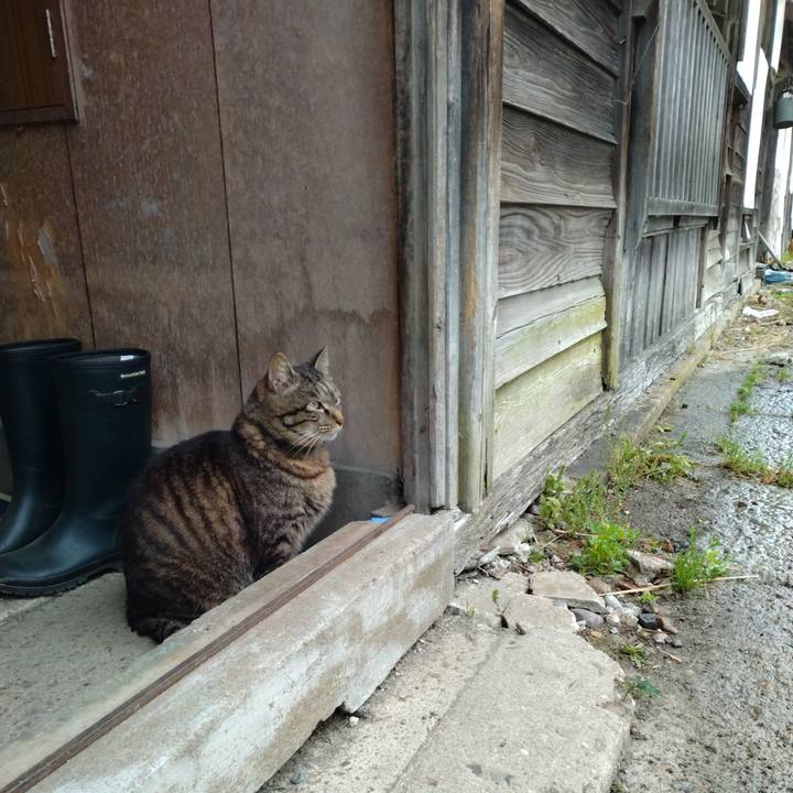 Da137e84 4bcd 43ff a416 16e97bb86a06 1684796126424