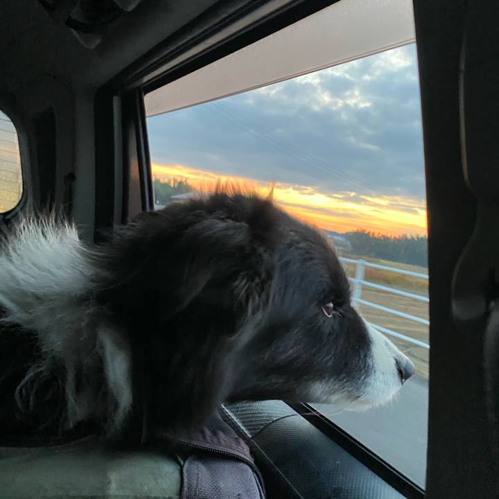 Da13af46 55df 4798 bfa8 738bb88d061a 1701813478214