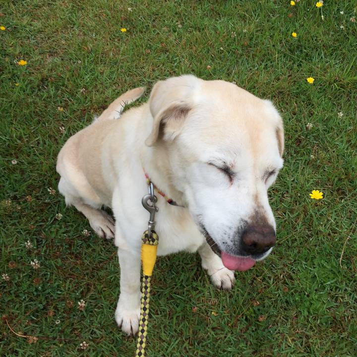 Da145189 6e98 48e0 a4e9 fe3de8cbd438 1528797921478