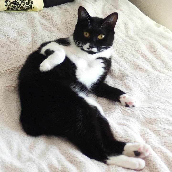 Da145869 9210 4d2a 9fc5 8ae13295e4fb 1528345332955