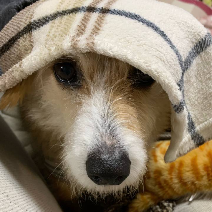 Da145ab5 08bd 46aa bdbd 176dca1dd20a 1577959586669