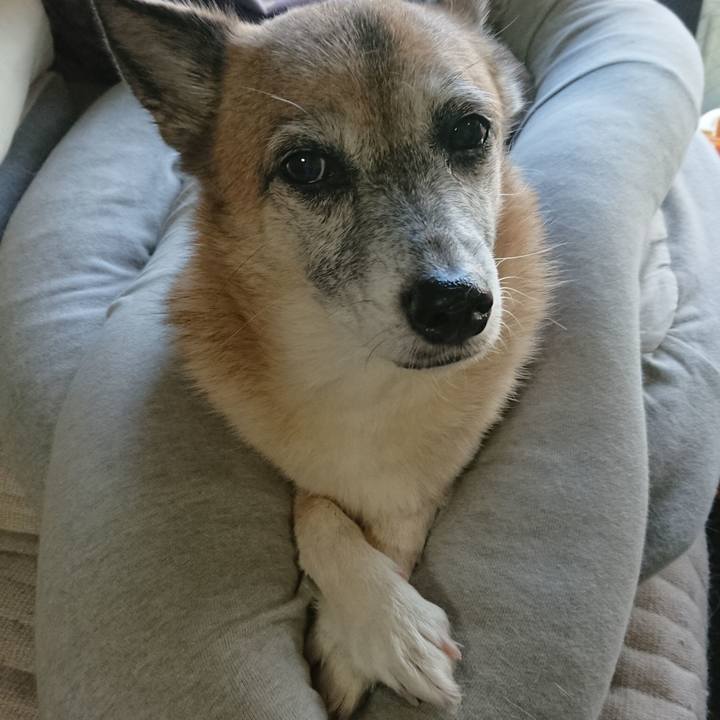 Da1488b8 c38d 4805 afdb 9335d483a0ab 1543112793821