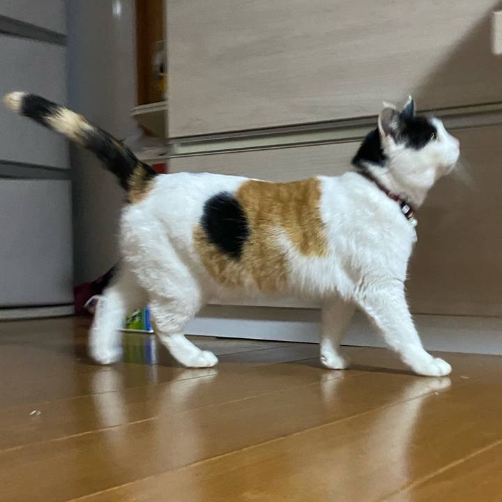 Da150d27 6004 44a9 8761 e36d87f3a5aa 1645098944979