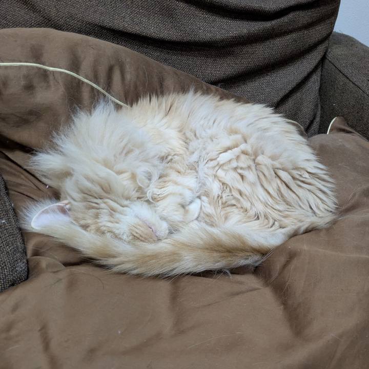 Da151a39 aa6e 4c0d 9934 d2420b2d08c9 1774960692909