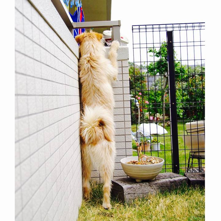 Da1550f4 db4f 45ed ac59 b6c74cf49524 1597846757571