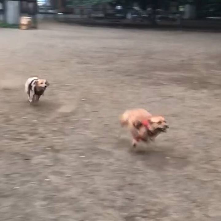 Da157af8 197b 4425 96f6 f9569b760cb3 1528611092119