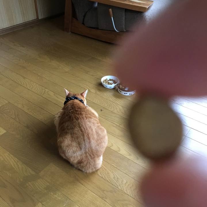 Da1587c2 c43e 449e 8330 708ad34b57ee 1538805603118