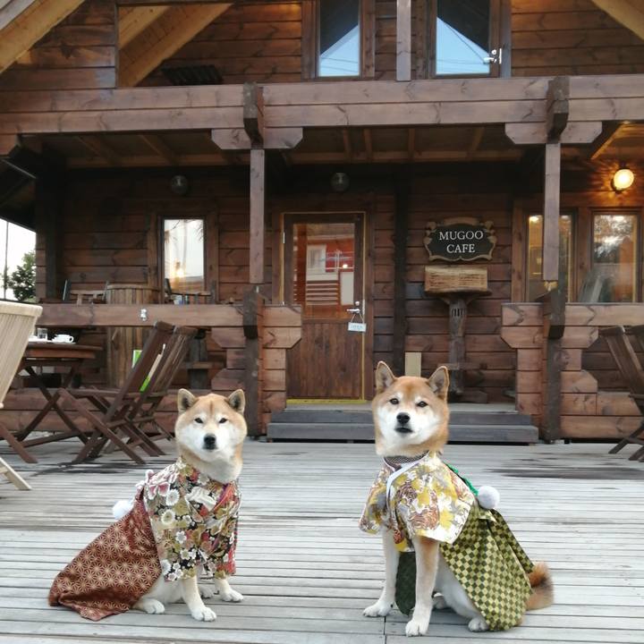 Da15cc11 617b 443a 904e 0a1a333cc823 1641730902915