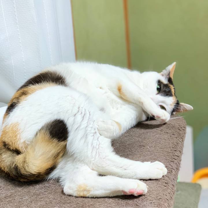 Da15e573 21cf 440f b2da 959ef9e060c8 1553479362895