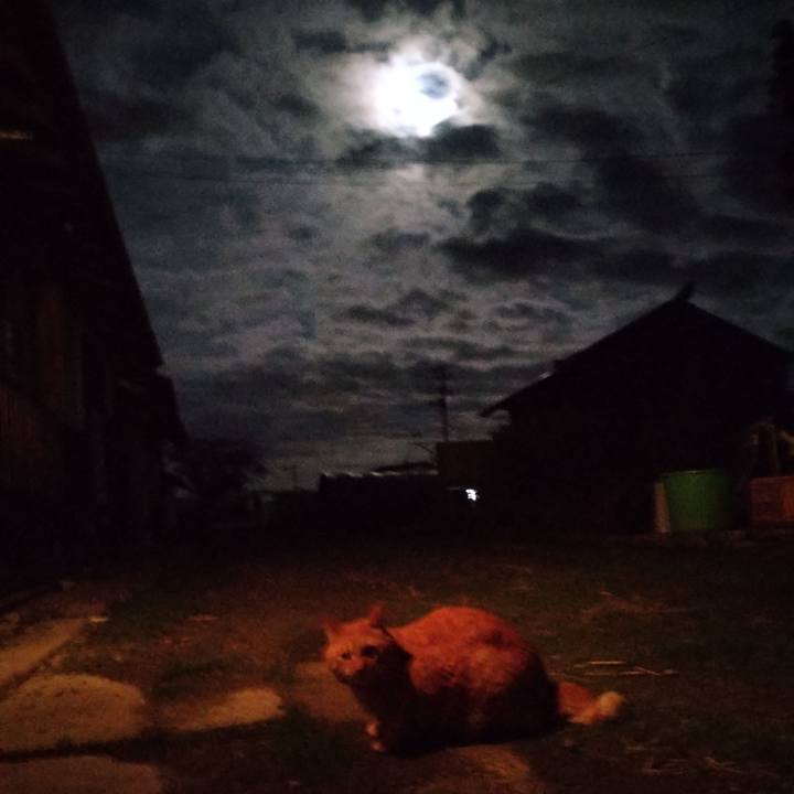 Da160d58 e08f 4646 85e1 34a3f505e3c6 1729159762082