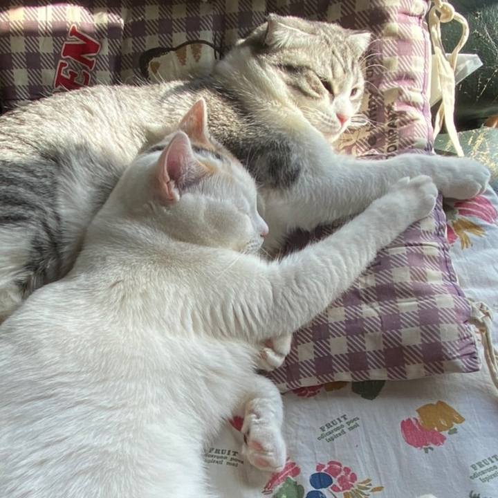 Da1630d2 b7e8 432c a10f 7a15bd538eac 1611267016067