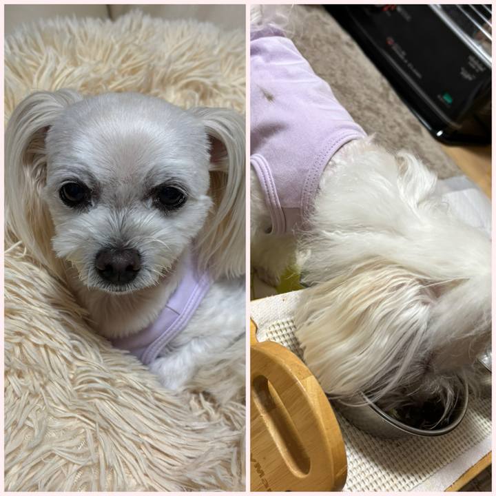 Da164bd9 7e26 44e1 8641 8c11d860173d 1761560329739