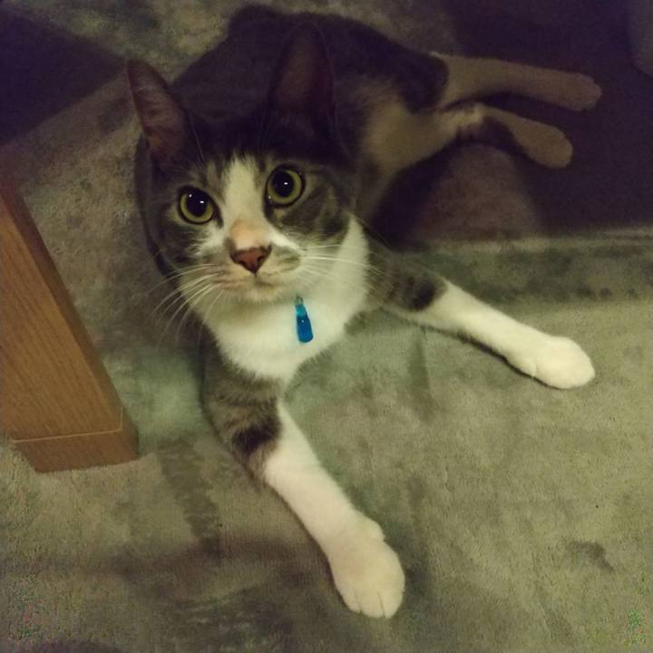 Da164ec5 5d6c 4fc6 8393 1306698584bc 1596464691941