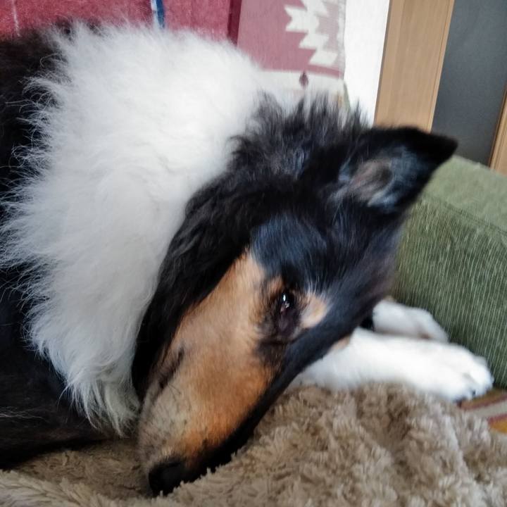 Da1661ce 92ad 4a48 bf50 8cb61e9b1bab 1516718884152