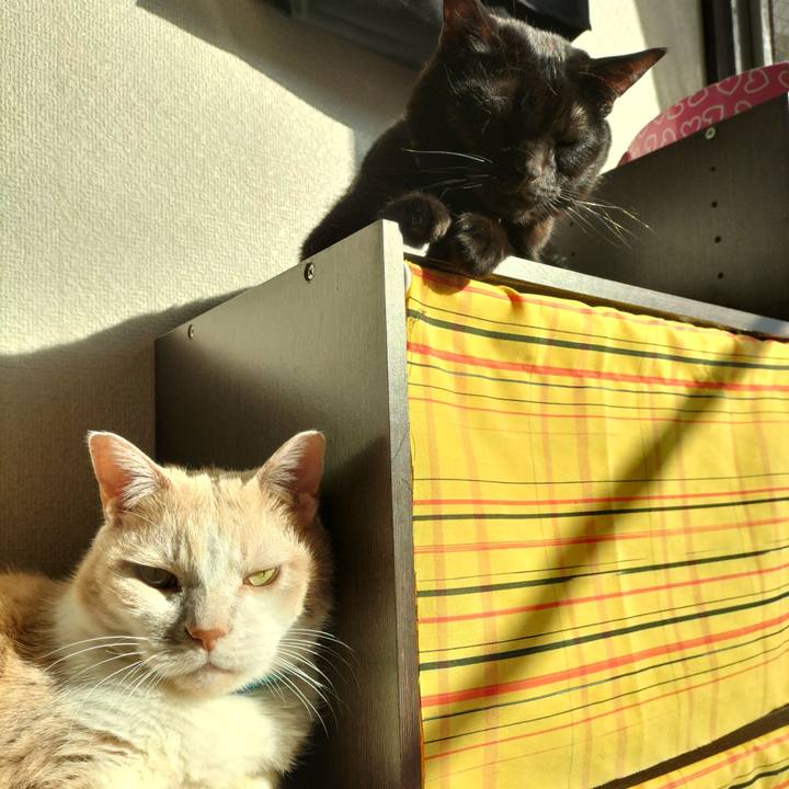 Da167aac 74d5 45a5 8451 292ea12bd873 1641691737004