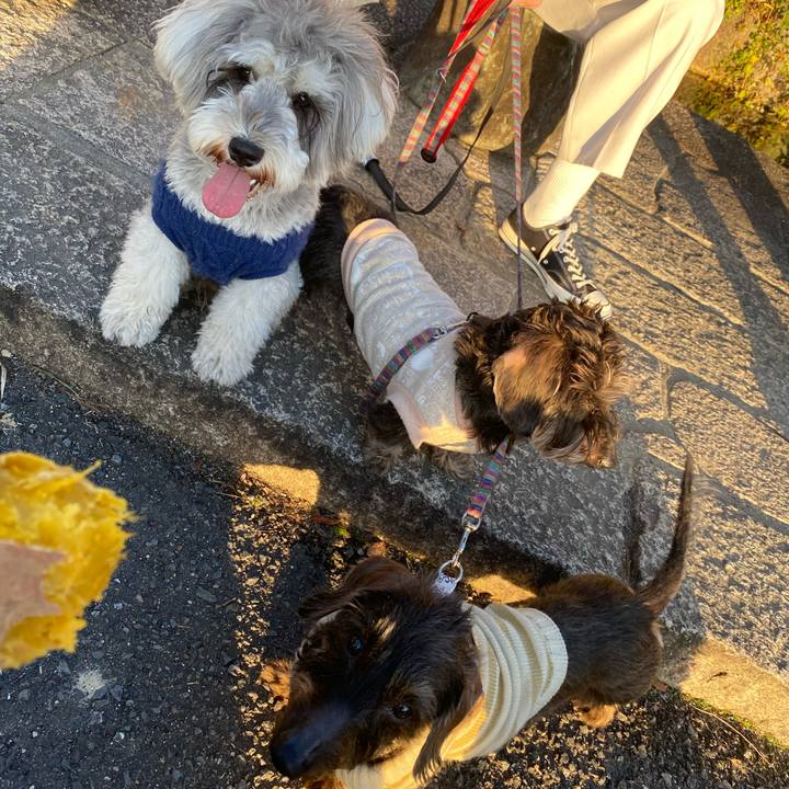 Da16bb24 31f8 4f20 816a 197a8768cd4c 1612089151884