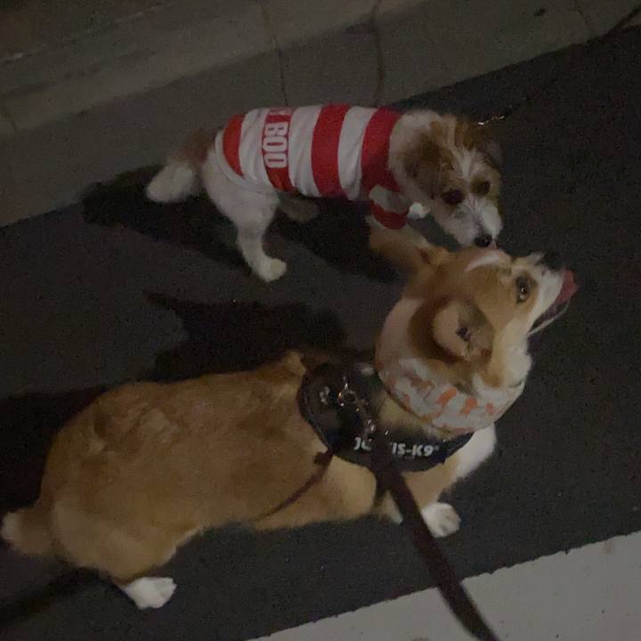 Da16dc1f cb9c 4d52 83d4 0925d18dad72 1691500505830