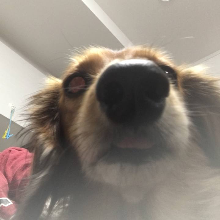 Da16ee99 9df1 4c39 9108 2a447b24b62a 1542119812283