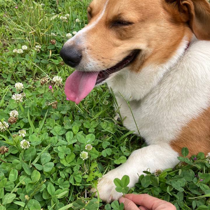 Da170358 587e 4749 b871 6bdd945367b8 1654736963799