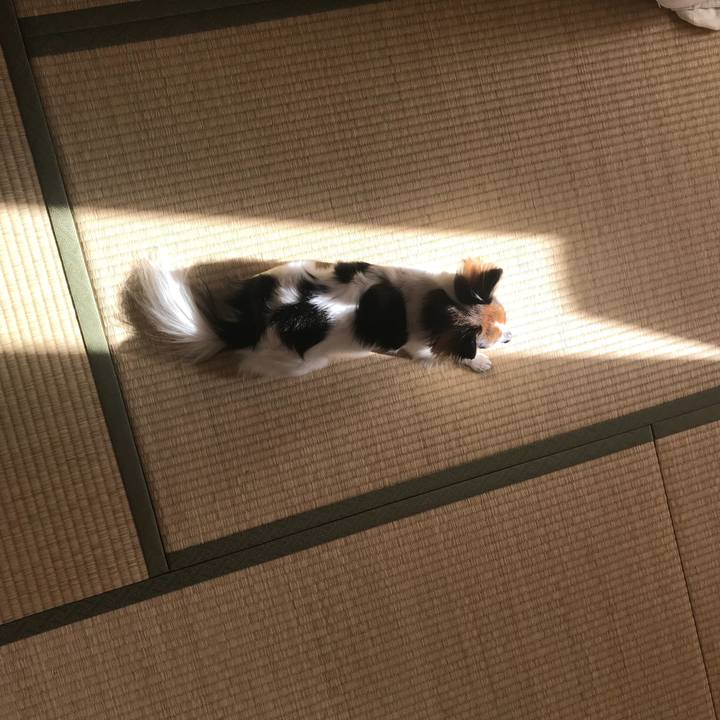 Da1708b7 a362 41b3 84bb 4c756f0b616c 1510808437721