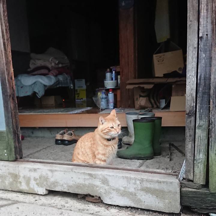 Da1725ca 2024 41f7 8c11 bef537ae99e8 1661462598160