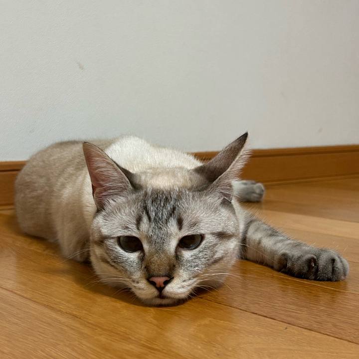 Da175709 7aa1 4e9c be00 928f355e0234 1756997869104