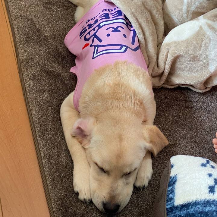 Da176def e759 4902 8e1b 3db70f4f8c94 1616988783836