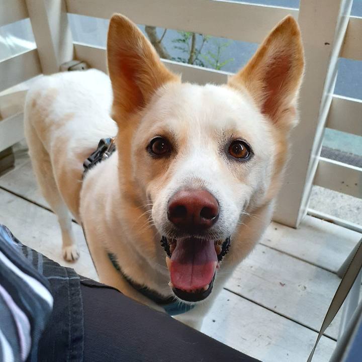 Da177d75 d72d 4e86 8463 d79c21febf66 1650162115066