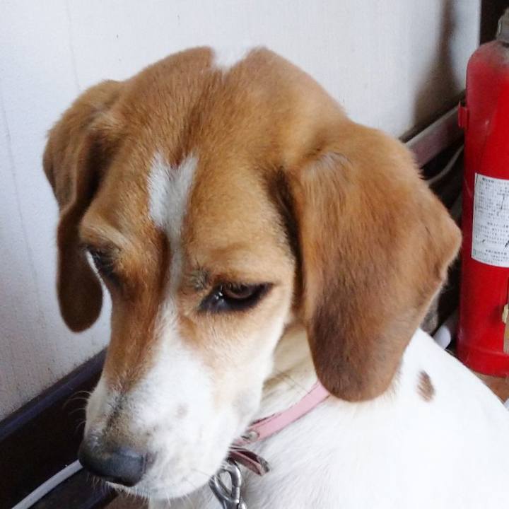 Da1788b4 ae29 4f54 9135 3431076c9d46 1597210143694