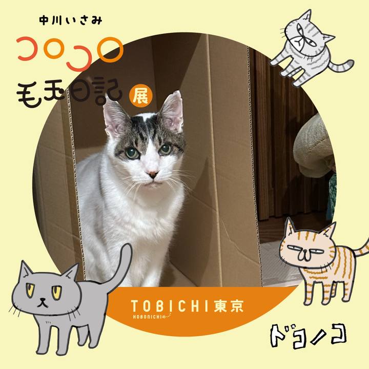 Da184589 3bb7 43ee b687 dd6f44497f5e 1740196631072