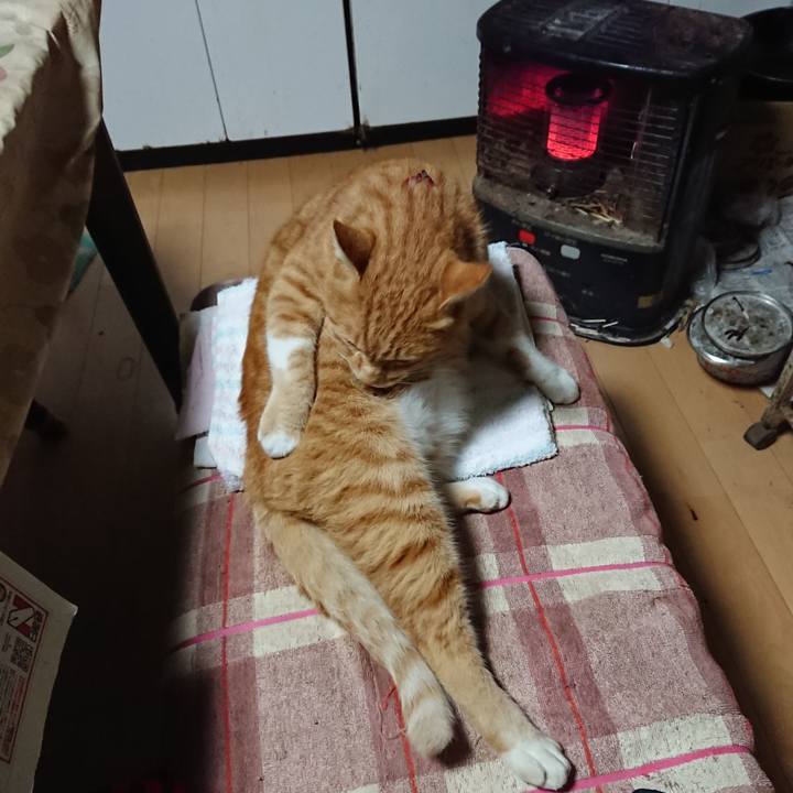 Da184d41 b25d 43f9 8eec 6f5fb42acd95 1602103783652