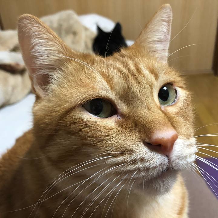 Da1886a6 7d1c 40e1 a37f fe04c3dfb466 1607689368334